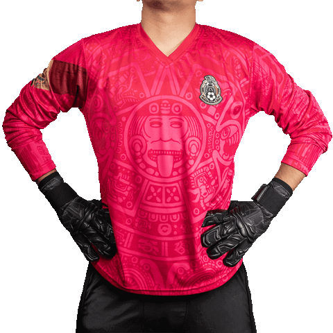 Mexico 98 Pink Retro Goalkeeper Jersey
